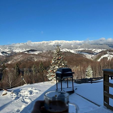 Отель Cabanuta Din Munti Моечу-де-Жос Экстерьер фото