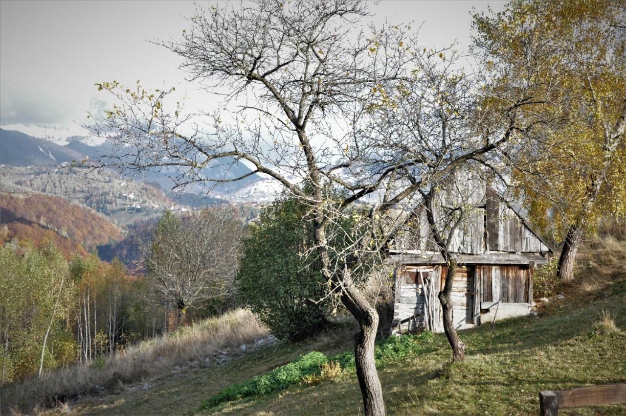 Отель Cabanuta Din Munti Моечу-де-Жос Экстерьер фото