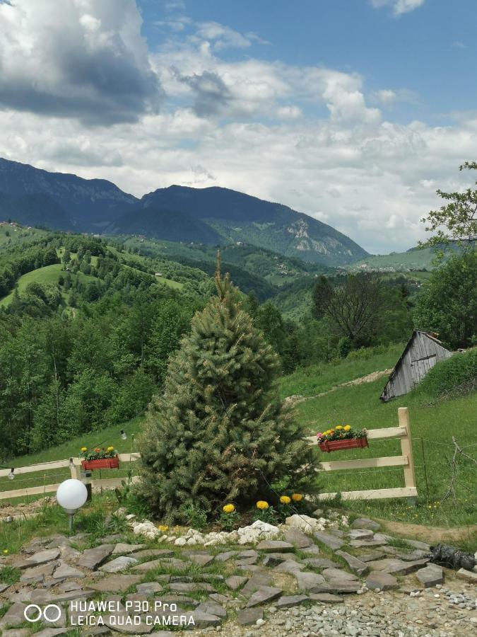 Отель Cabanuta Din Munti Моечу-де-Жос Экстерьер фото